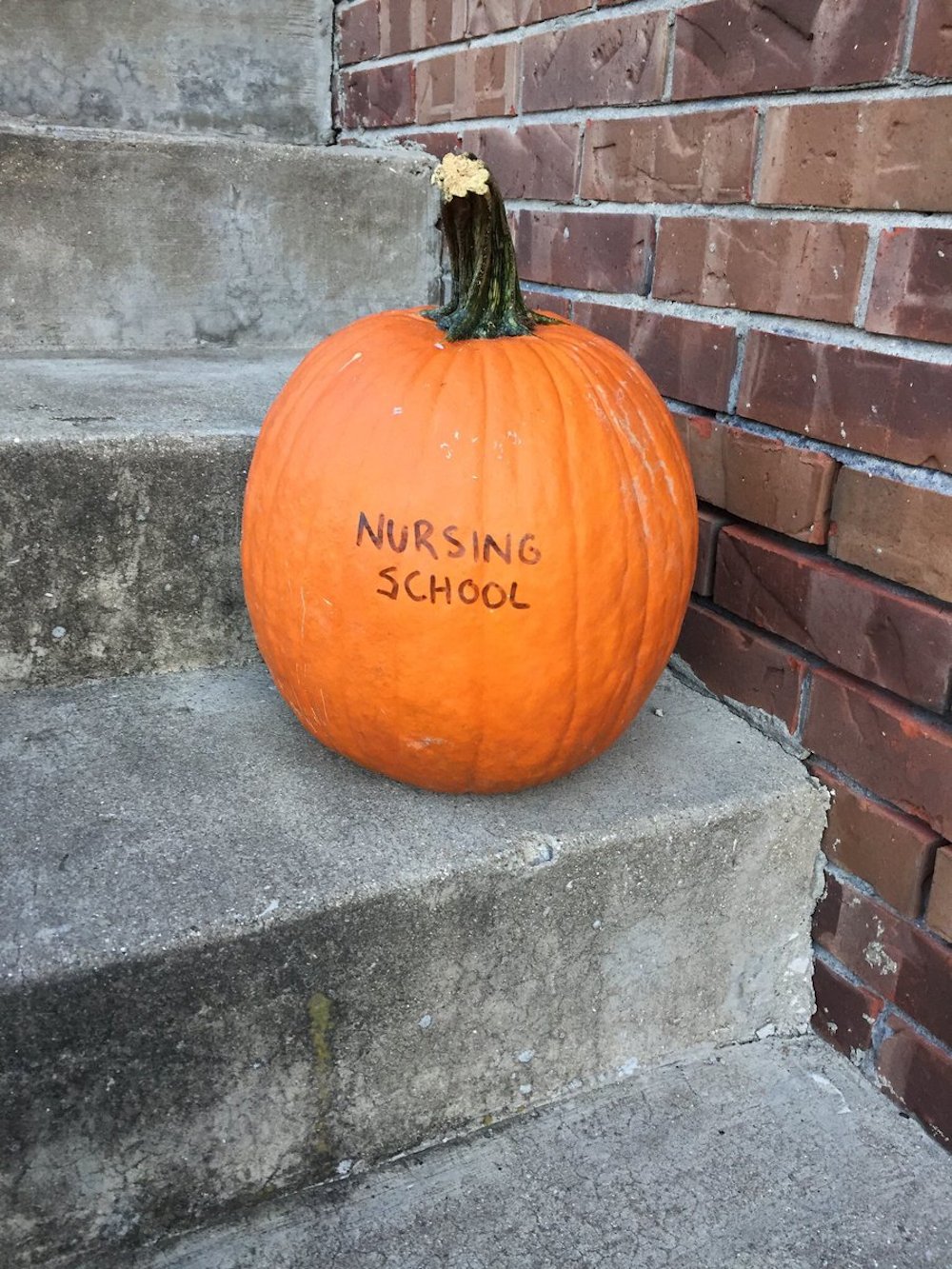 Nursing School Jack O Lantern - Halloween Pumpkin Ideas